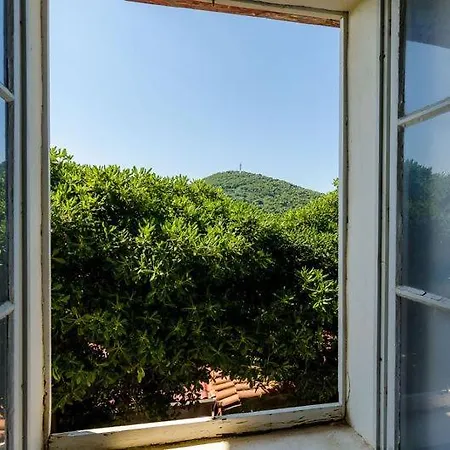 Apartmán Pavo *
