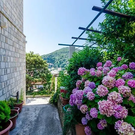 Apartmán Pavo *