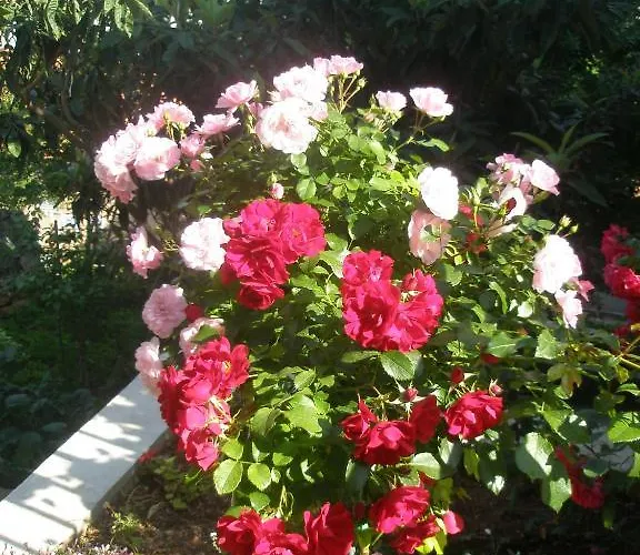 Pavo Apartman Dubrovnik